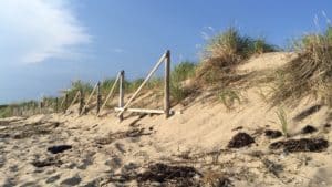sandy dunes and beach with beach gass