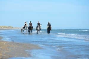 People horseback riding on a beach on Cape Cod