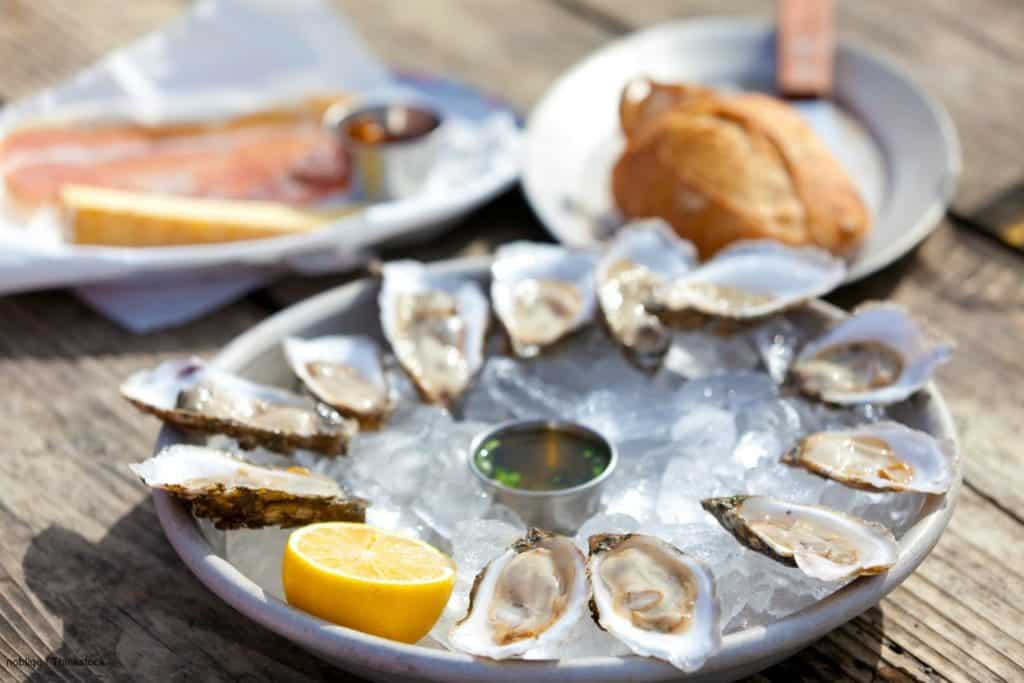 a plate of oysters at the Wellfleet Oyster Festival