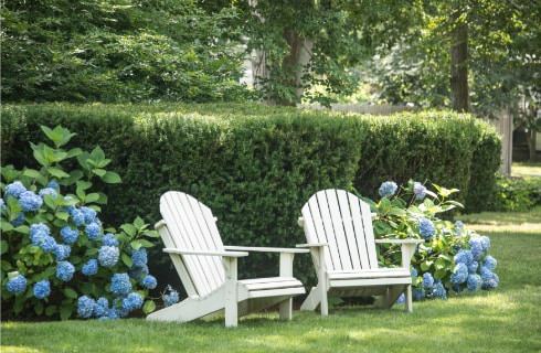 Two white Adirondack chairs sitting in green grass next to trimmed green shrubs and bushes with blue flowers