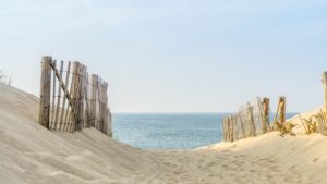 Pathway to one of the Cape Cod beaches