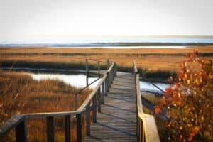 A boardwalk on Cape Cod in the fall