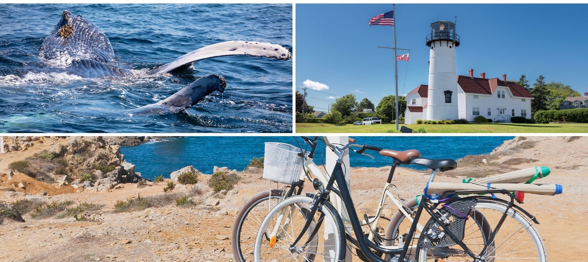 3 images: one of a whale, one of a Cape Cod lighthouse, and one of bicycles on the beach