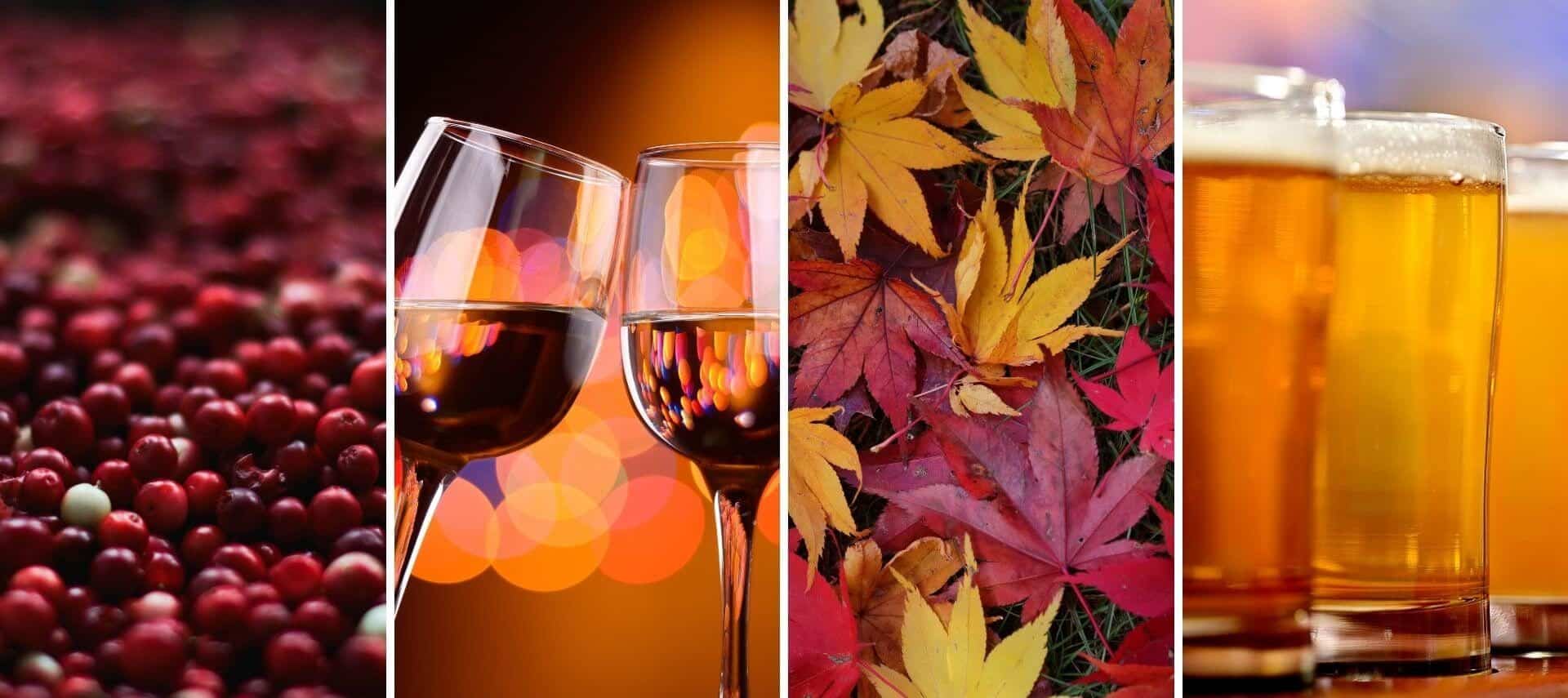 Cranberries, clinking wine glasses, fall leaves, glasses of craft beer — fall for Cape Cod.