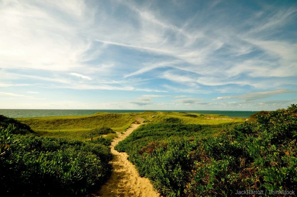 Cape Cod Museum of Natural History